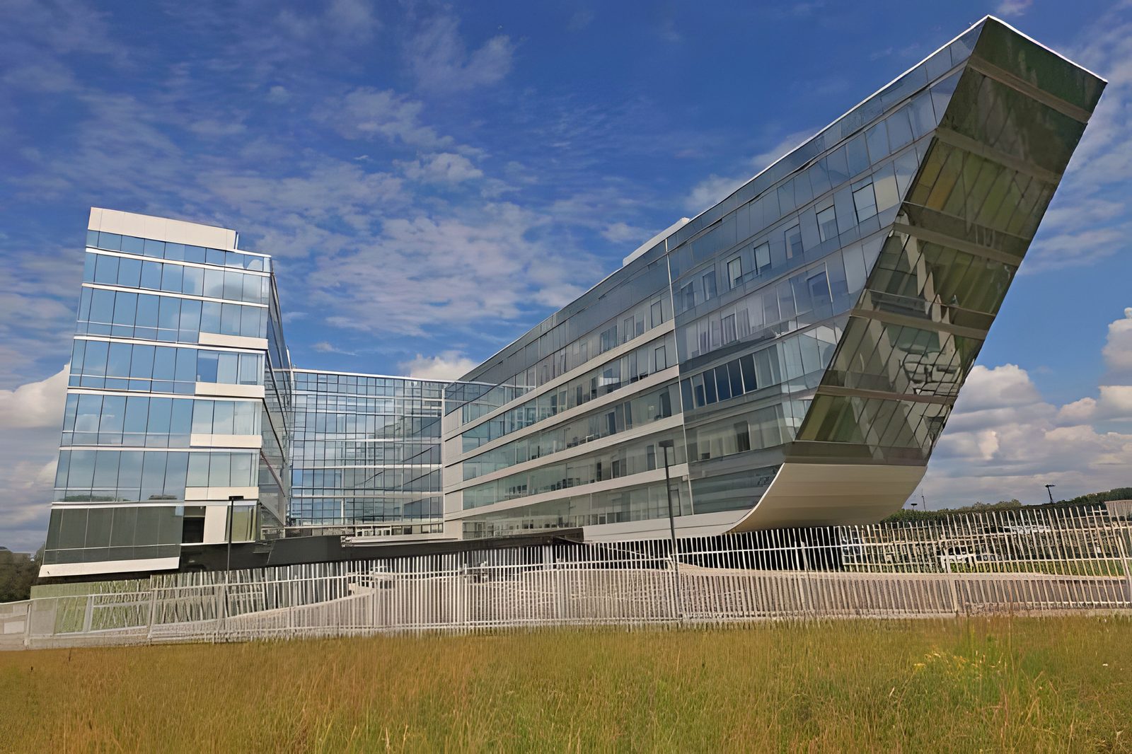 Winged glass office building above a summer meadow